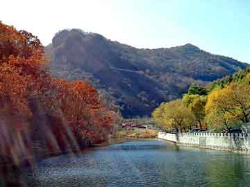 新澳天天开奖资料大全旅游团，鬼附身